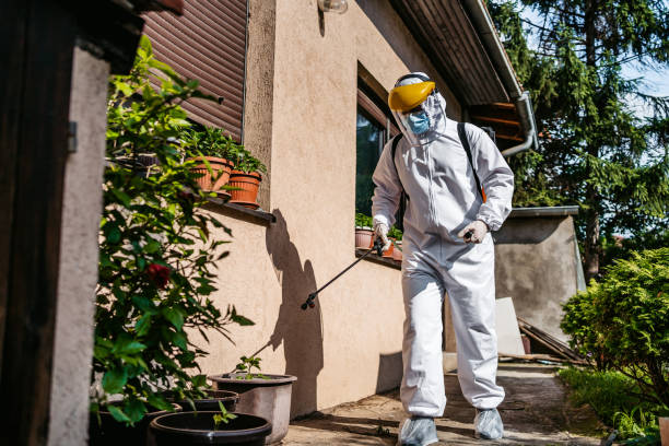 Best Emergency Pest Control  in Amador Pines, CA