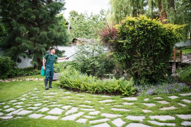 Best Affordable Pest Control Services  in Amador Pines, CA