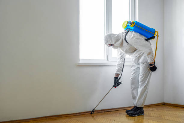 Best Bed Bug Extermination  in Amador Pines, CA
