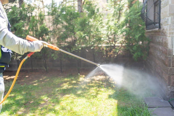 Best Termite Control Services  in Amador Pines, CA