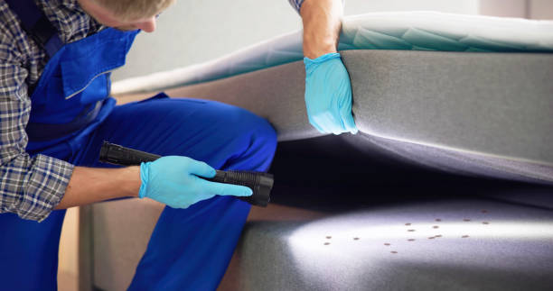 Best Rat Extermination Near Me  in Amador Pines, CA