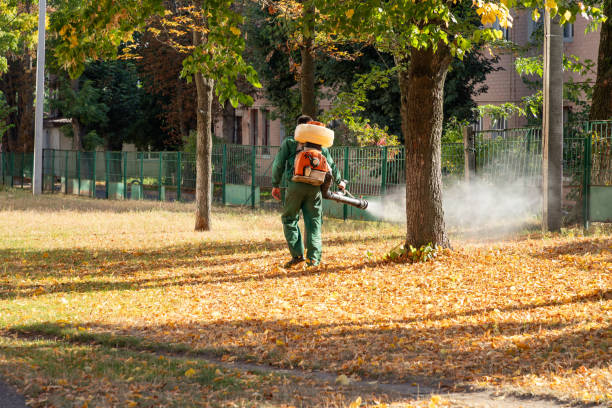 Best Wasp Removal Services  in Amador Pines, CA