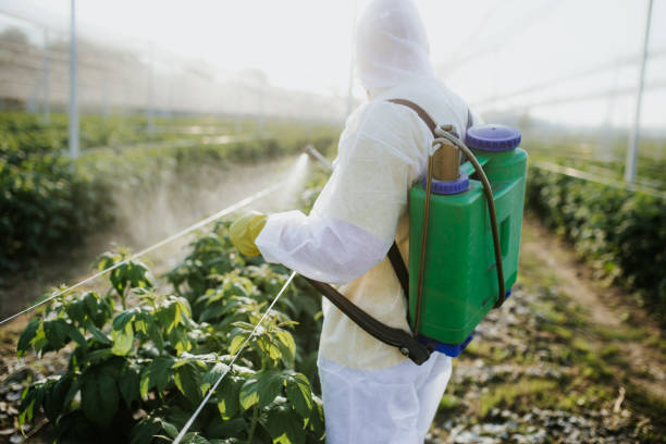 Best Wildlife Control Services  in Amador Pines, CA